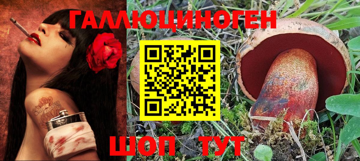 Псилоцибиновые грибы Psilocybe Аргун