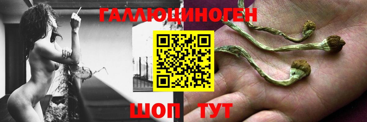 Псилоцибиновые грибы прущие грибы  Вход с VPN  Аргун 
