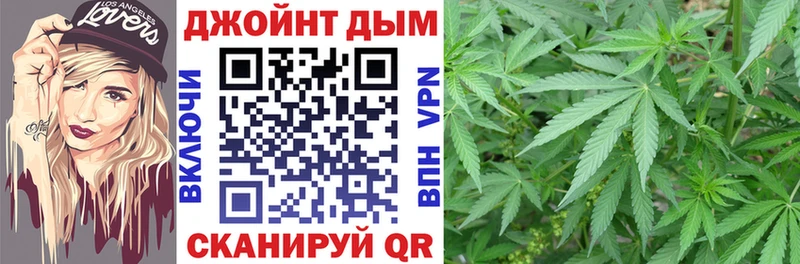 Канабис White Widow  сайты даркнета как зайти  Аргун  купить наркотик 